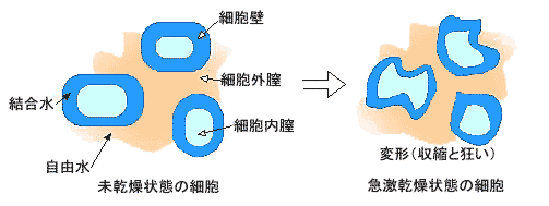 ハウス企画が提案するＩＴ２工法２