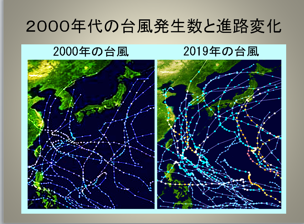 台風被害